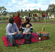 Blackbutt Forest Reserve - Holiday Find
