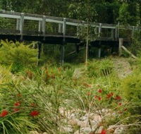 Eurobodalla Botanic Gardens - Holiday Find