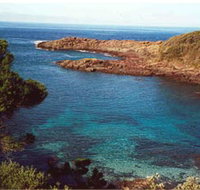 Bass Point Reserve - Holiday Find