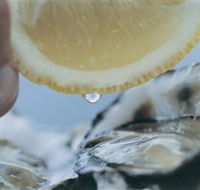 Pearly Oyster Bar and Farm - Holiday Find