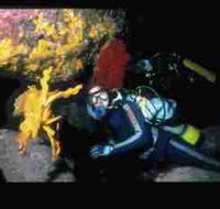 Solitary Islands Marine Park - Holiday Find