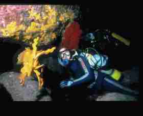 Solitary Islands Marine Park - Holiday Find 0