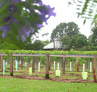 Douglas Vale Historic Homestead  Vineyard - Holiday Find