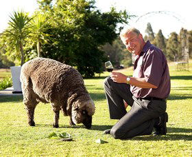 Moorebank Private Vineyard - Holiday Find 2