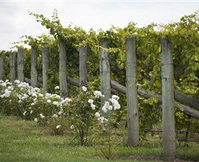 Lambert Vineyards Cellar Door - Holiday Find 2
