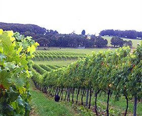 Big Hill NSW Holiday Find