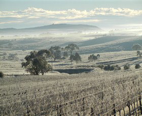 Kurrajong Downs Wines Vineyard - Holiday Find 1