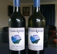 Thunder Ridge Wines - Holiday Find