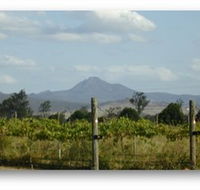 Ironbark Ridge Vineyard - Holiday Find