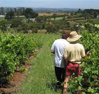 Sir Paz Estate - Holiday Find