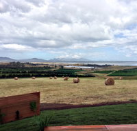 The Hazards Vineyard - Devil's Corner - Holiday Find