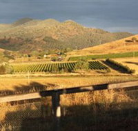 Optimiste Wines - Holiday Find