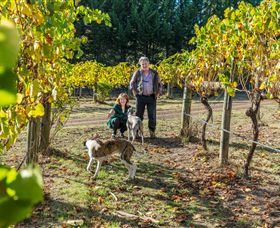 Little River Wines Of Taggerty - Holiday Find 0