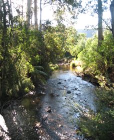 Little River Wines Of Taggerty - Holiday Find 5