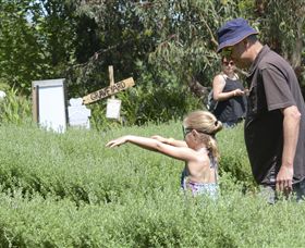 Hedgend Maze And Healesville Laser Sport - Holiday Find 2