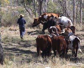 Gleneden Organic Farm And The Gleneden Bullock Team - Holiday Find 1