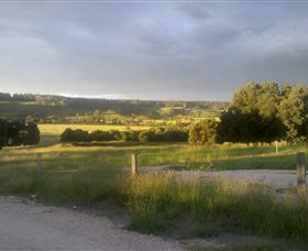 Gleneden Organic Farm And The Gleneden Bullock Team - Holiday Find 0