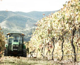 Logan Wines - Holiday Find 5