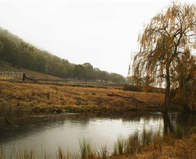 Logan Wines - Holiday Find 6