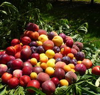 Rayner's Orchard - Holiday Find