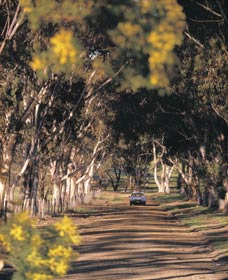 East Wickepin ACT Holiday Find