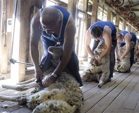The Woolshed At Jondaryan - Holiday Find 1