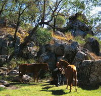 Coomba Falls - Holiday Find