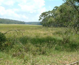 Hume And Hovell Walking Track - Holiday Find 2