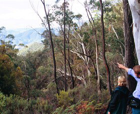 Hume And Hovell Walking Track - Holiday Find 5