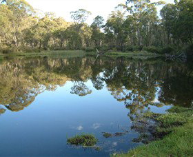 Hume And Hovell Walking Track - Holiday Find 6