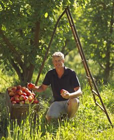 Mock Red Hill - Holiday Find 1