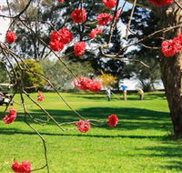 The Yass Golf Club - Holiday Find