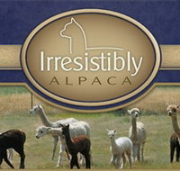 Marchmont Park Alpacas - Holiday Find