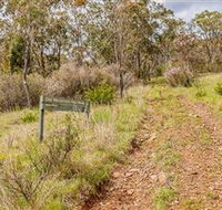 Old Mountain Road Walking Track - Holiday Find