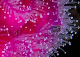 Yaringa Marine National Park - Holiday Find 0