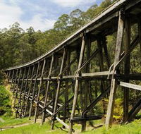 Noojee Trestle Bridge - Holiday Find