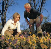 Canna Reserve - Holiday Find