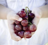 Granitevale  Estate Winery - Holiday Find