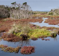 French Island National Park - Holiday Find