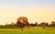 Canberra District Wineries - thumb 0