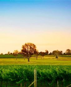 Canberra District Wineries - Holiday Find 0