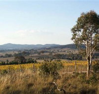 Yarrh Wines - Holiday Find