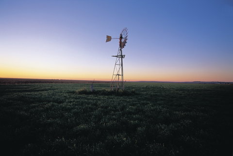 Lions Park Hodgsonvale - Holiday Find 0