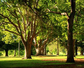 Queens Park, Toowoomba - Holiday Find 1