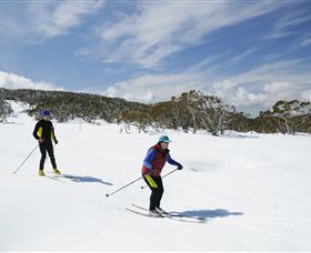 Mt Baw Baw Alpine Resort - Holiday Find 2