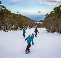 Mt Baw Baw Alpine Resort - Holiday Find