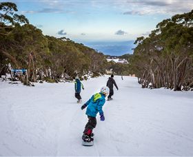 Mt Baw Baw Alpine Resort - Holiday Find 0