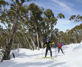 Mt Baw Baw Alpine Resort - Holiday Find 4