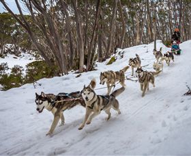 Mt Baw Baw Alpine Resort - Holiday Find 5