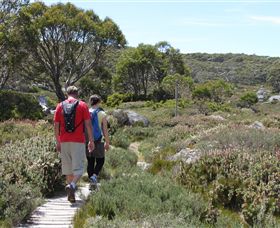 Mt Baw Baw Alpine Resort - Holiday Find 7